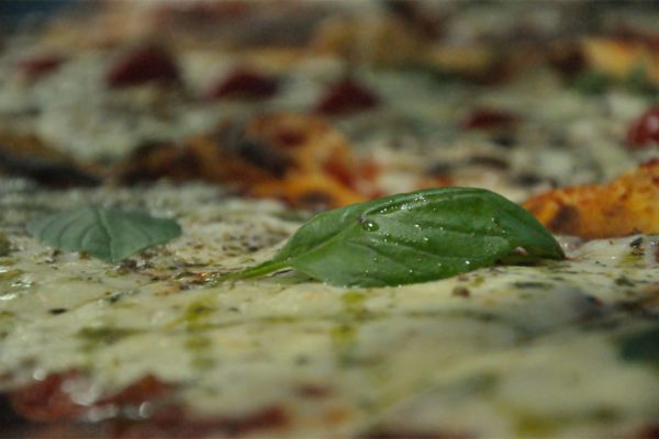 _DSC0063